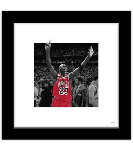 Amazon.com: Gallery Pops Michael Jordan - Kiss The Rim Color Pop